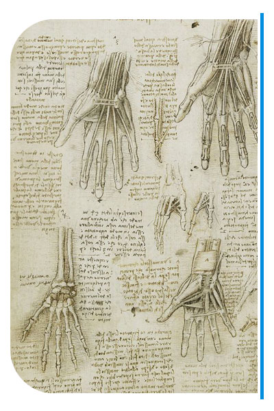 Educazione